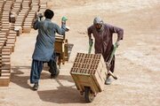 هشدار درباره بازار سیاه کار؛ مهاجران غیرمجاز چه نقشی دارند؟