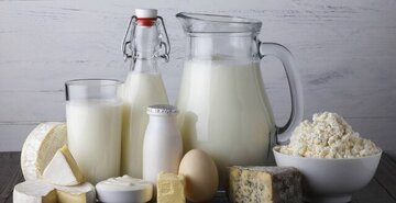 عامل پنهان بیماری‌های خطرناک مشترک انسان و حیوان
