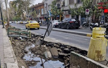 کندن برخی درختان خیابان فلسطین از ریشه، علت چیست؟