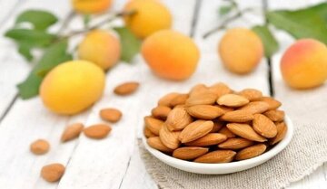 خوردن هسته این میوه خوشمزه تابستانی ممنوع! خوردن هسته این میوه خوشمزه تابستانی ممنوع!