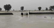 ببینید | شهری در کارولینای شمالی در محاصره سیلاب