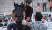 روایتی از تاریخچه اسب کُرد و جنایتی در دل فیلم‌برداری