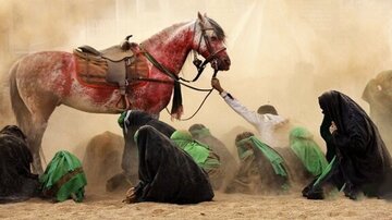 دایره شناخت امام حسین(ع) از کربلا و عاشورا فراتر است