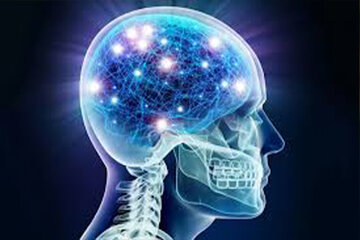 با این خوراکیها حافظه خودتان را تقویت کنید با این خوراکیها حافظه خودتان را تقویت کنید