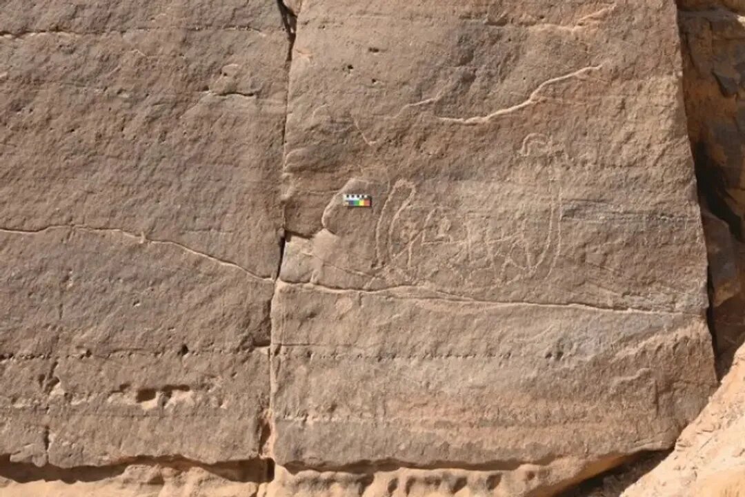 کشفی نادر در مصر / تصویری از اولین فرعون 1 کشفی نادر در مصر / تصویری از اولین فرعون