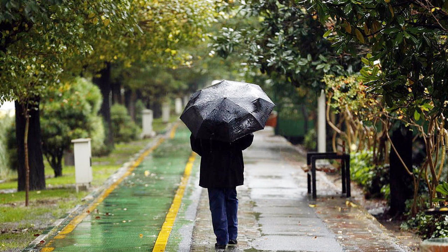 کاهش ۱۰ درجه‌ای دما در این استان‌ها/ هشدار سرمازدگی محصولات کشاورزی در این مناطق/ بالاخره بارش باران و برف نرمال می‌شود؟