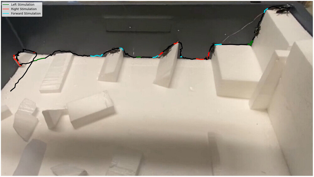 ارتش سوسکهای نینجا در راه است ارتش سوسکهای نینجا در راه است