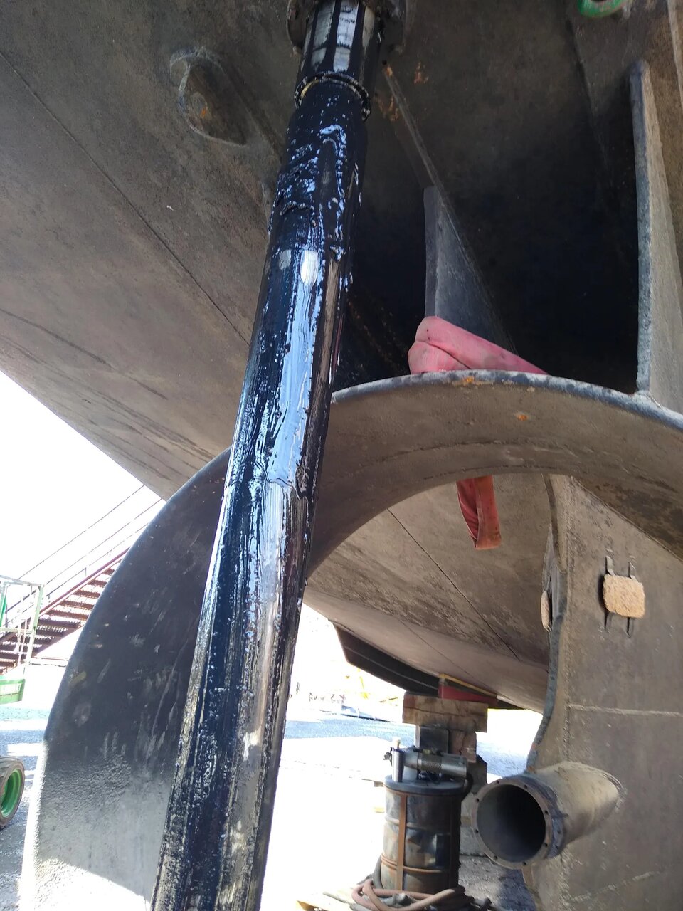 کشف موجود زنده ناشناخته در روغن سیاهِ اسرارآمیز کشتی