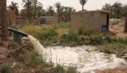 تحقق وعده استاندار خوزستان؛ آب به نخلستان های خنافره شادگان رسید