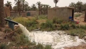 تحقق وعده استاندار خوزستان؛ آب به نخلستان های خنافره شادگان رسید تحقق وعده استاندار خوزستان؛ آب به نخلستان های خنافره شادگان رسید