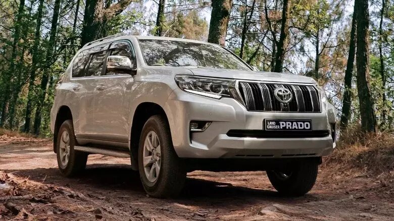 نام «پرادو» چه معنایی دارد؟ ریشه نامگذاری لندکروزر پرادو تویوتا چیست؟