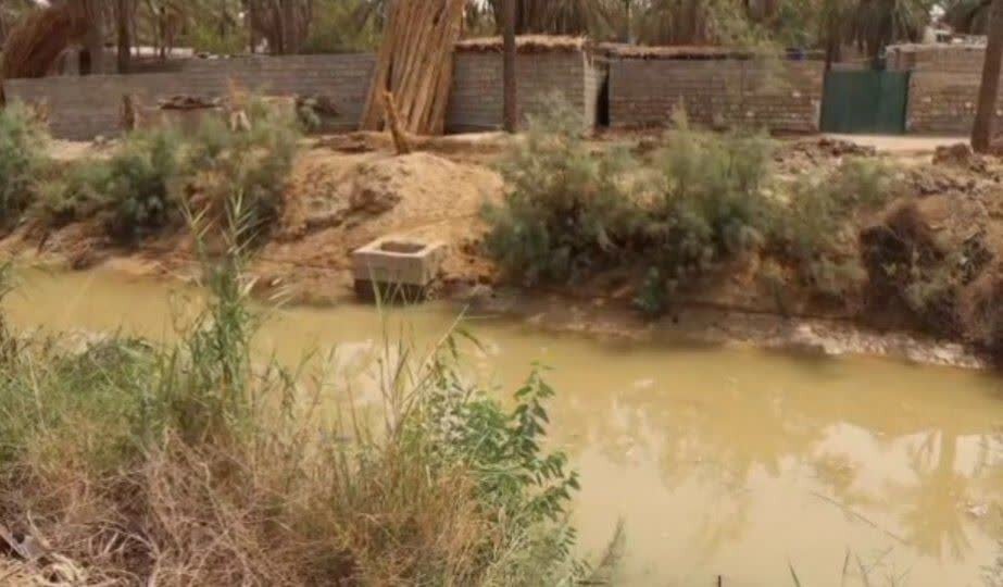 تحقق وعده استاندار خوزستان؛ آب به نخلستان های خنافره شادگان رسید