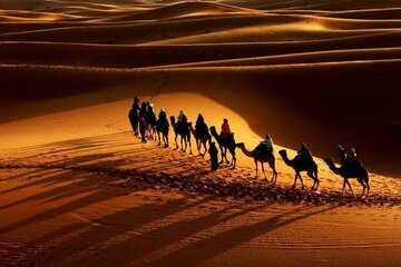 حرکت اسرای کربلا به شام ادامه حماسه‌ حسینی (ع) بود