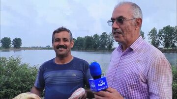 قرقشکنی سنت دیرینه کشاورزان مازندرانی قرقشکنی سنت دیرینه کشاورزان مازندرانی