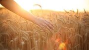  کدام روز هفته برای شروع کار میمون و مبارک است؟