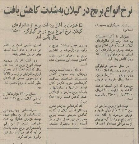 افت شدید قیمت برنج مازندران در دوره ریاست‌جمهوری هاشمی
