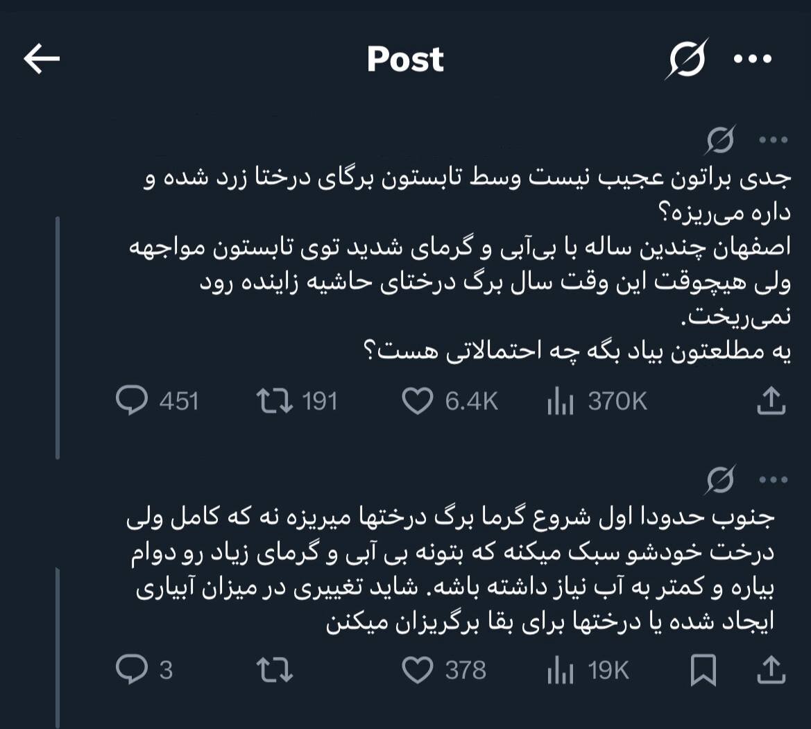 خزان پیش از موعد؛ چرا درختان دچار زردی و برگ‌ریزان زودهنگام شده‌اند؟/ نیاز به تحول در مدیریت فضای سبز شهری/ تنبلی ذهنی، گریبان‌گیر کارشناسان
