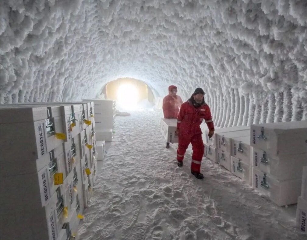 افشای راز ۱.۵ میلیون ساله نهفته در قدیمیترین یخ زمین