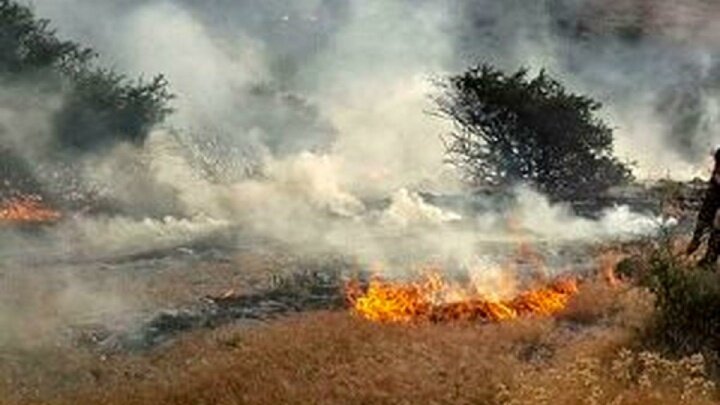 آتشسوزیدر جنگل ابر/ اعزام ارتش، سپاه و آتشنشانان