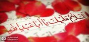 در سلام آخر زیارت عاشورا منظور از علی‌الارواح التی حلت بفنائک چیست؟