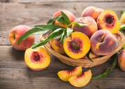 این میوه تابستانی خواص دارویی بی نظیری دارد