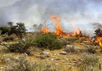 آتشسوزی گسترده در سنندج / جزئیات