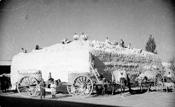 مجموعه عکس/ از بُرقع تا بروکراسی؛ شوروی چگونه ۱۰۰ سال پیش ازبکستان را تغییر داد؟