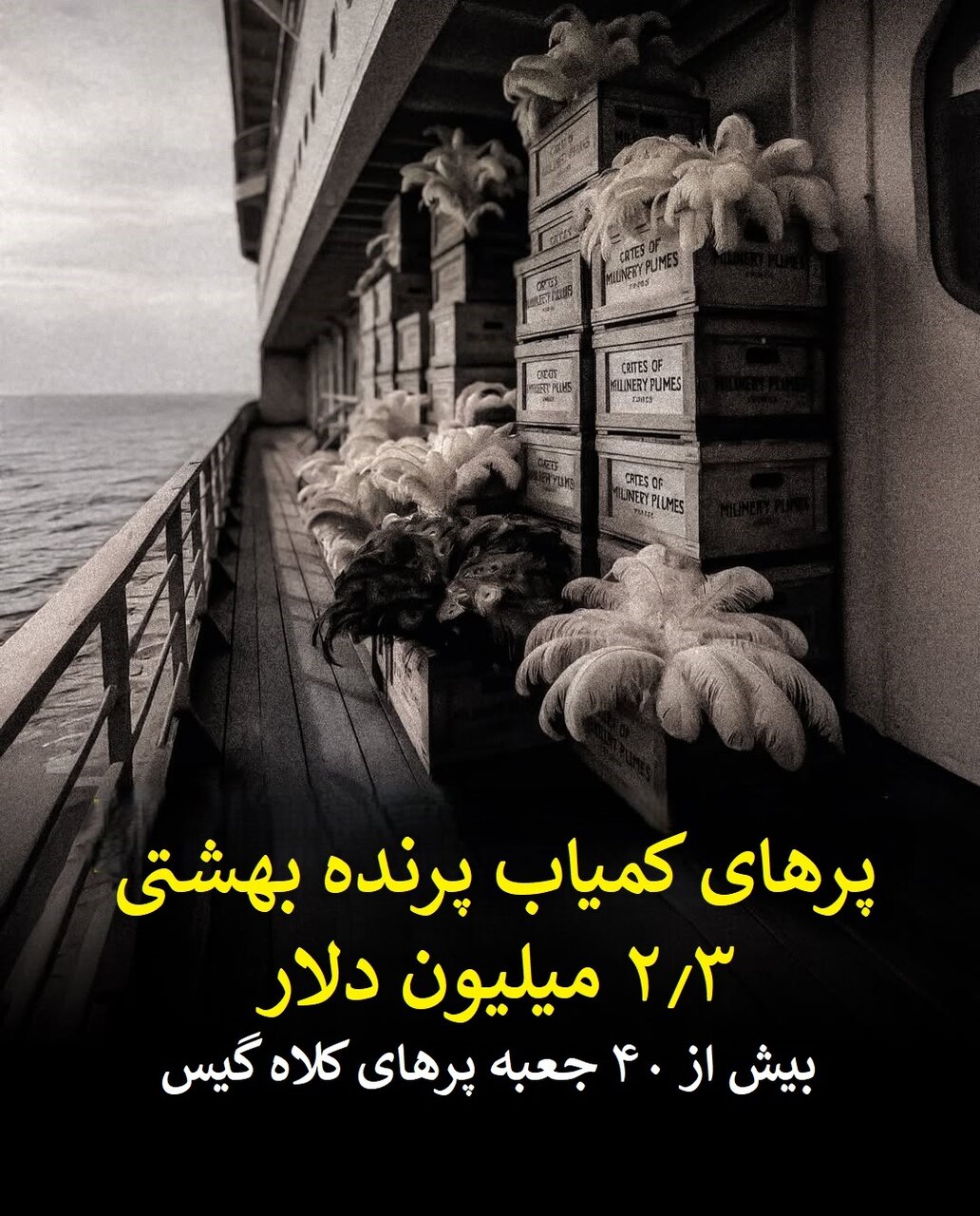 جزئیات ثروت افسانهای کشتی تایتانیک که در قعر اقیانوس آرمیده + عکس