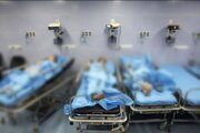 بررسی علت عوارض گوارشی 12 دانشجوی دانشگاه شیراز