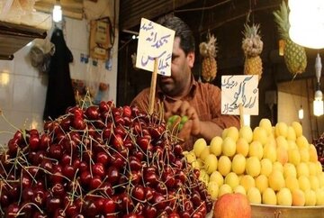 قیمت یک کیلو گیلاس نیم میلیون تومان!/ بازار میوههای تابستانی در شوک گرانی