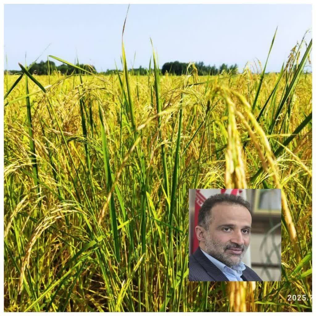 ی