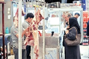 گوشت قرمز گران شد / ناترازی انرژی به تولید دام و طیور رسید
