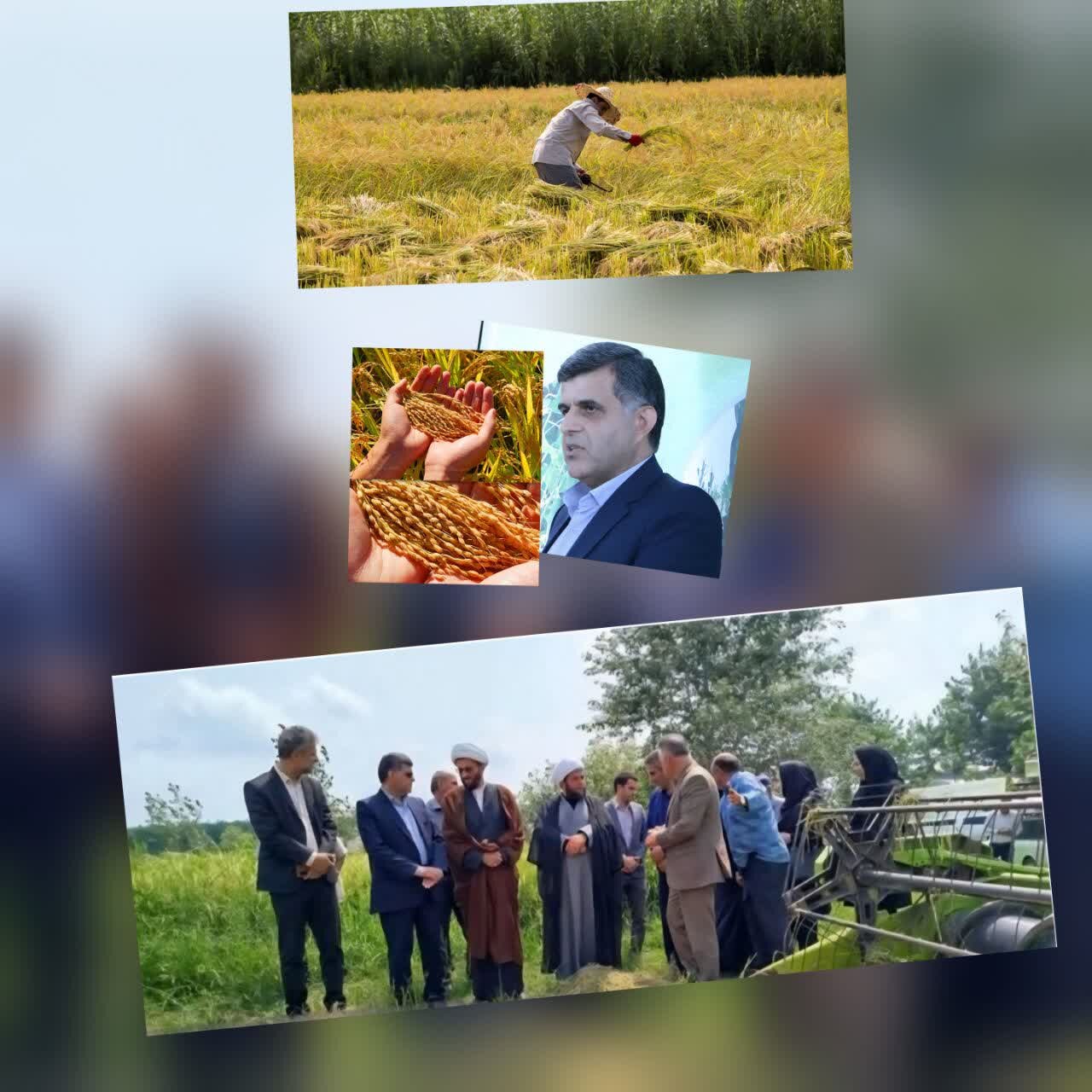 ث