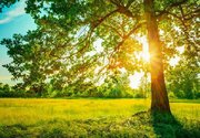 تداوم هوای گرم در مازندران؛ کاهش نسبی دما از سه‌شنبه