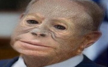 منظور از مسخ در قرآن چیست و آیا مسخ ازنظر علمی محال و غیرممکن است؟