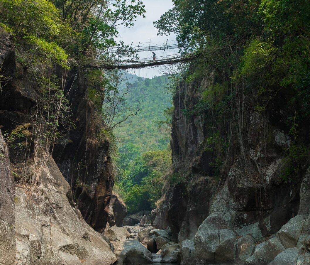 پلهای زنده دنیا/ عکس