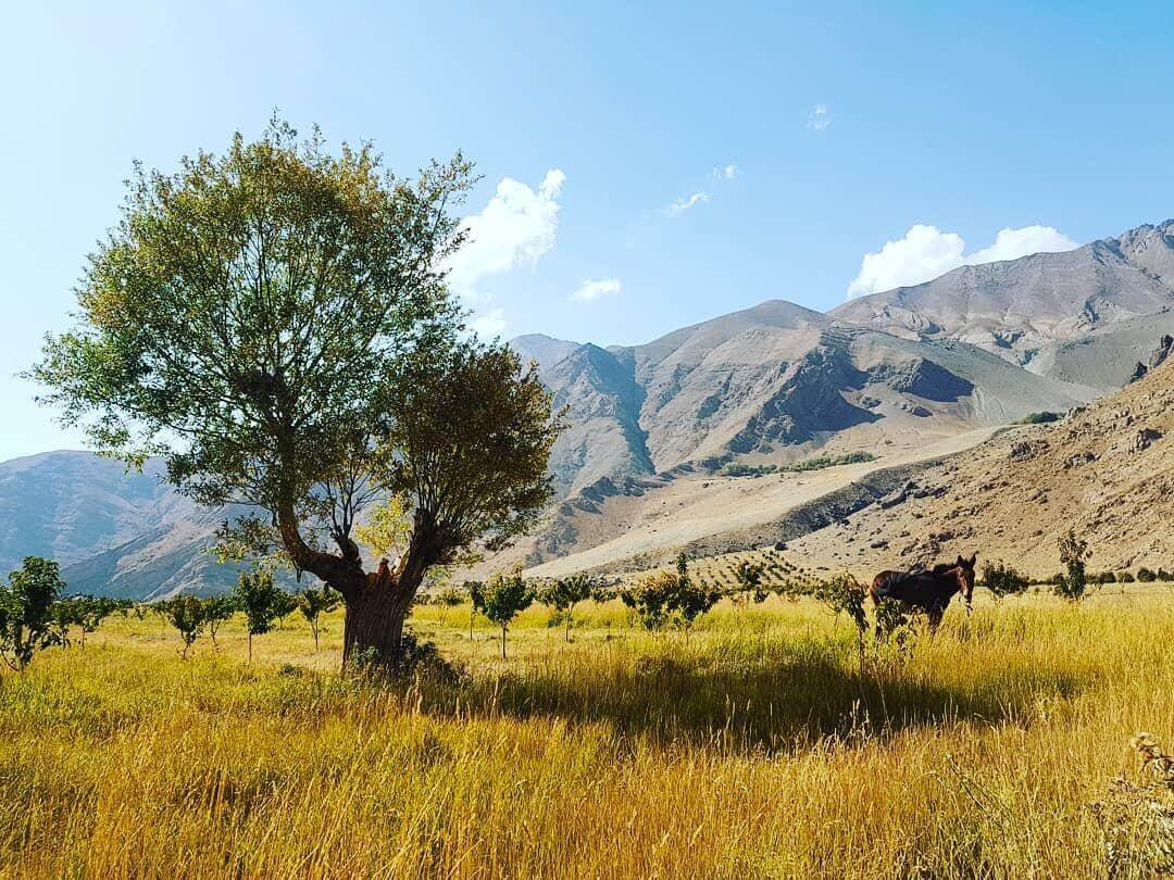 ماجراجویی تابستانی در یکقدمی پایتخت/ معرفی ۵ مقصد بکر اطراف تهران