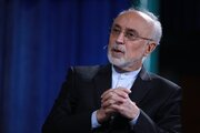 ببینید | ویدیوی کامل سخنان دکتر صالحی در پاسخ به یک سوال: آیا دوباره جنگ می‌شود؟