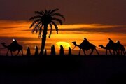 وقتی بازماندگان کربلا و صحابه پیامبر به هم رسیدند،نخستین پیاده‌روی اربعین چه زمانی رخ داد؟
