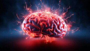 نگذارید مغزتان داغ شود نگذارید مغزتان داغ شود