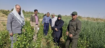 گامی بلند در مسیر کاشت یک میلیارد درخت