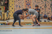 ببینید | مرور فن علیرضا دبیر یا کامران قاسمپور