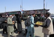 اهل تسنن؛ یک پای پیاده‌روی اربعین