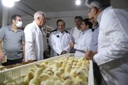 استاندار قزوین از دو واحد کشاورزی در آبیک بازدید کرد