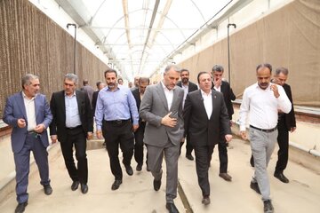 استاندار قزوین از دو واحد کشاورزی در آبیک بازدید کرد