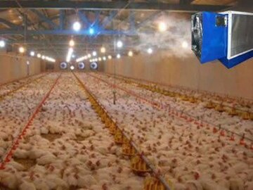 هشدار دامپزشکی مازندران: دام‌ها و طیور در معرض تهدید گرما