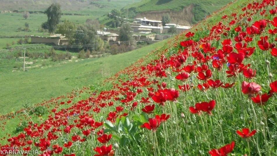 5 مقصد جذاب برای مسافرت تابستانی / از ماجراجویی در درهای بهشتی تا سرزمین لیلیپوتها 8