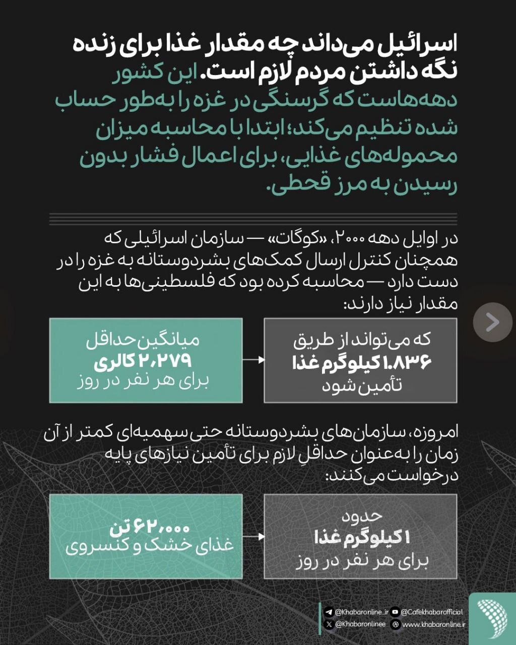 ریاضیات قحطی ساده است؛اسرائیل میداند چه مقدار غذا برای زنده ماندن لازم است/اینفوگرافی