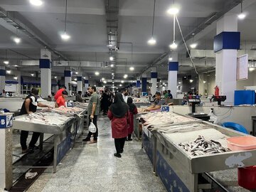 فاز دوم ارتقای سیستم سرمایشی در بازار ماهی‌فروشان بندرعباس اغاز شد