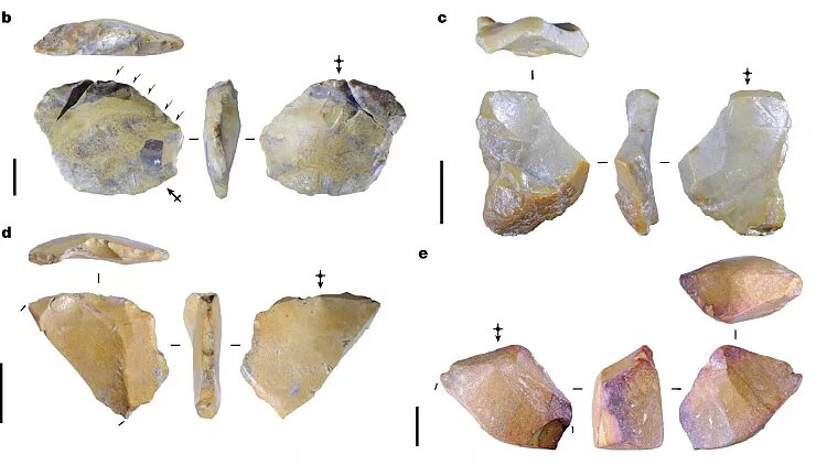 رمزگشایی از انسانهای باستانی کوتاهقامت / کشف ابزارهای یک میلیون ساله